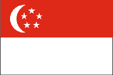 新加坡（团队签证）